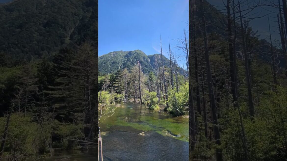 A day at Taisho Pond where nature embraces you #日本 #長野 #大正池 A day at Taisho Pond where nature embraces you #日本 #長野 #大正池