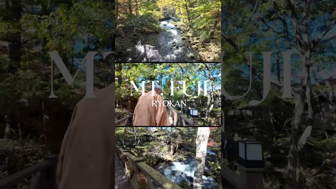 Mt. Fuji ryokan w/ river view and garden #shorts #mtfuji #japan #kawaguchiko #ryokan #japanvlog