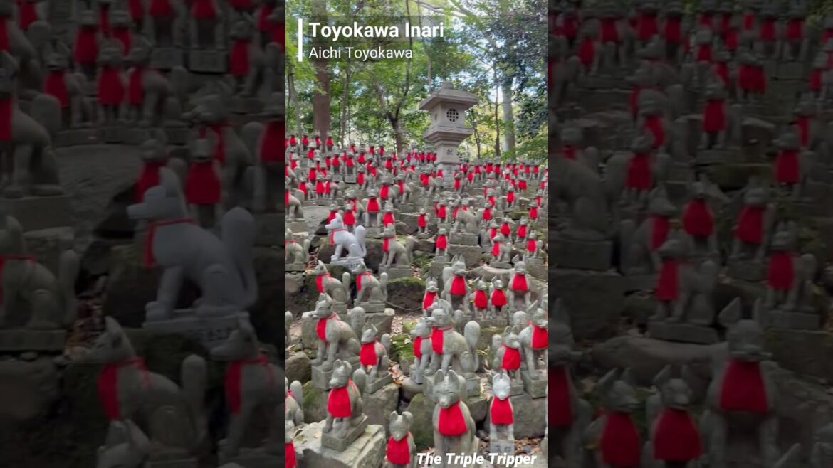 “Toyokawa Inari_豊川稲荷” Toyokawa/Aichi/Japan Trip-Log #Shorts "Toyokawa Inari_豊川稲荷" Toyokawa/Aichi/Japan Trip-Log #Shorts