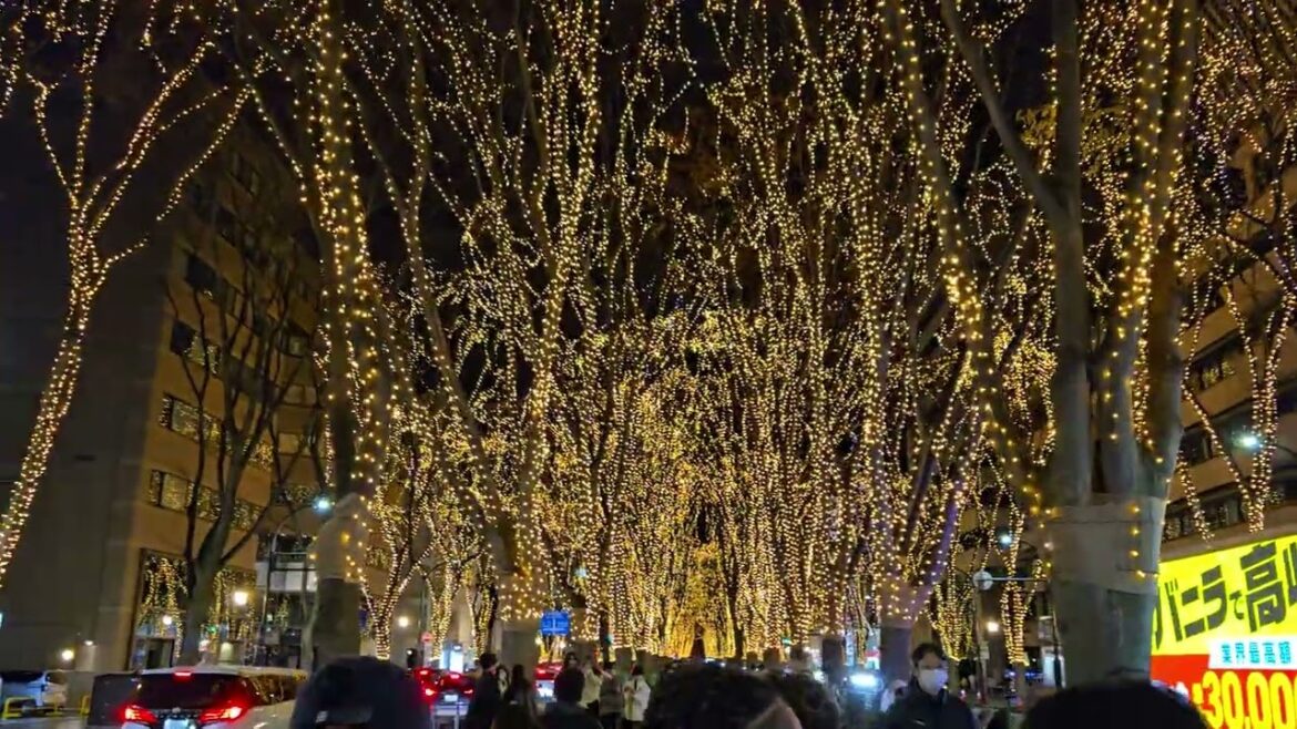 Sendai Jozenji-dori Ave winter lights