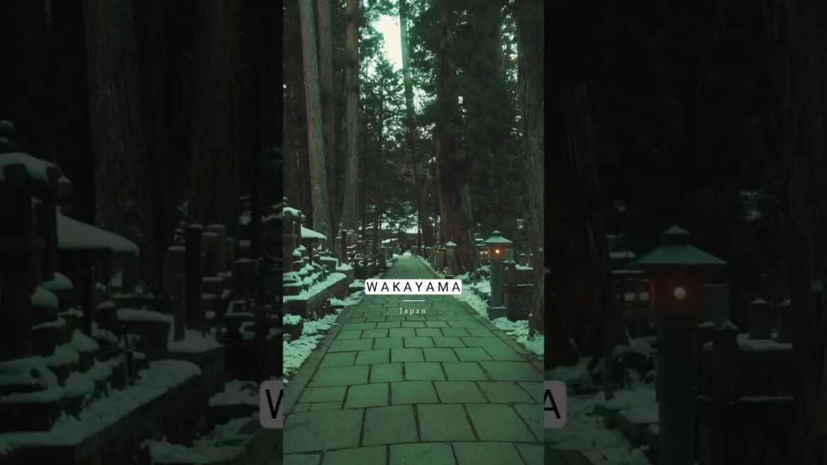Wakayama 🌿 Japan 🇯🇵 Unesco World Heritage Site #travelgoals #wanderlust #exploremoreًً Wakayama 🌿 Japan 🇯🇵 Unesco World Heritage Site #travelgoals #wanderlust #exploremoreًً