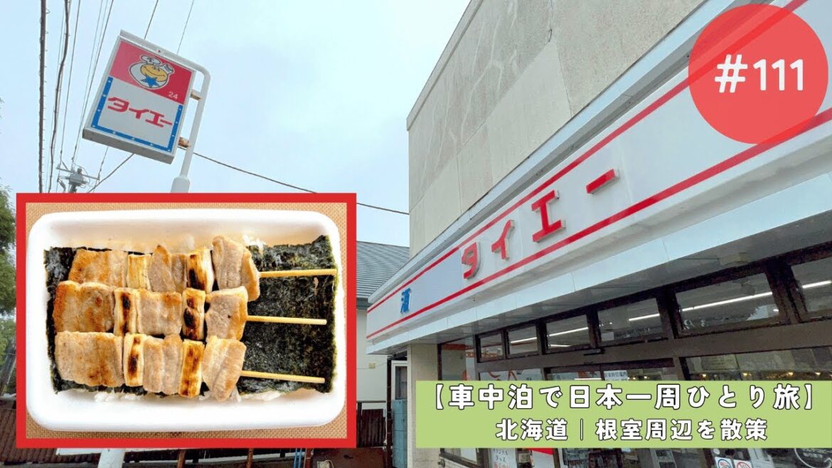 【車中泊で日本一周ひとり旅111日目】北海道の納沙布岬/ノツカマフ1・2号チャシ跡/旧奥行臼駅逓所/奥行臼駅/走古丹先端/