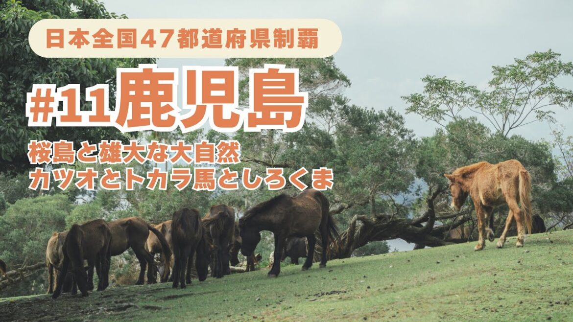 鹿児島で桜島と白熊の定番ルートを巡る1泊2日
