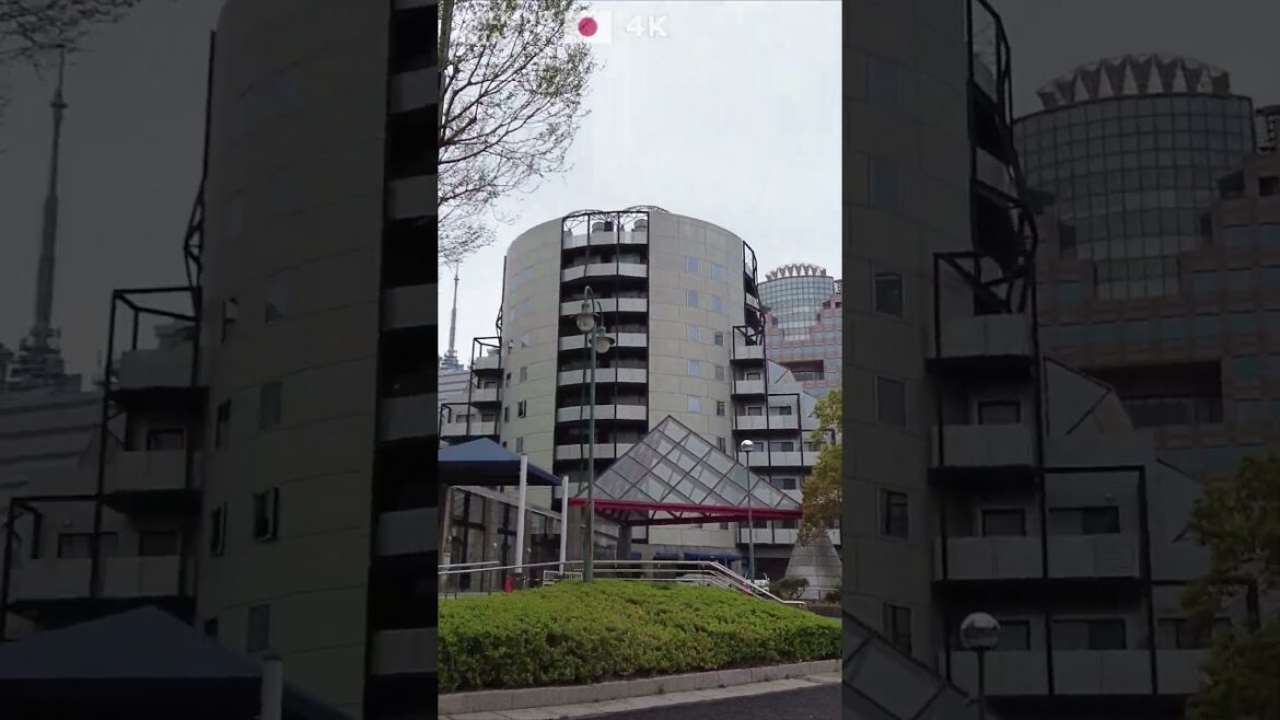 🇯🇵 Experience #Fukuoka in #Japan with us! #Shorts