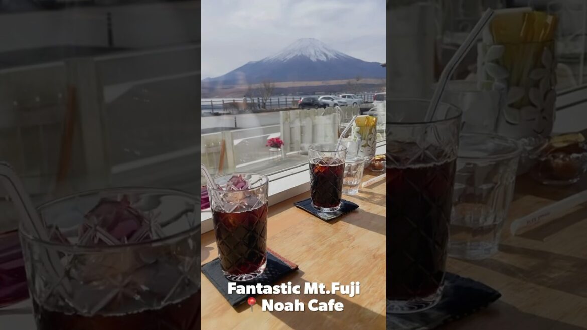 【#思思賢嘆世界】 東京自駕遊🗻 無敵富士山景！Cafe Noah @ 山中湖 ☕️ #fuji #mtfuji #tokyo #travel #food #cafe #shorts