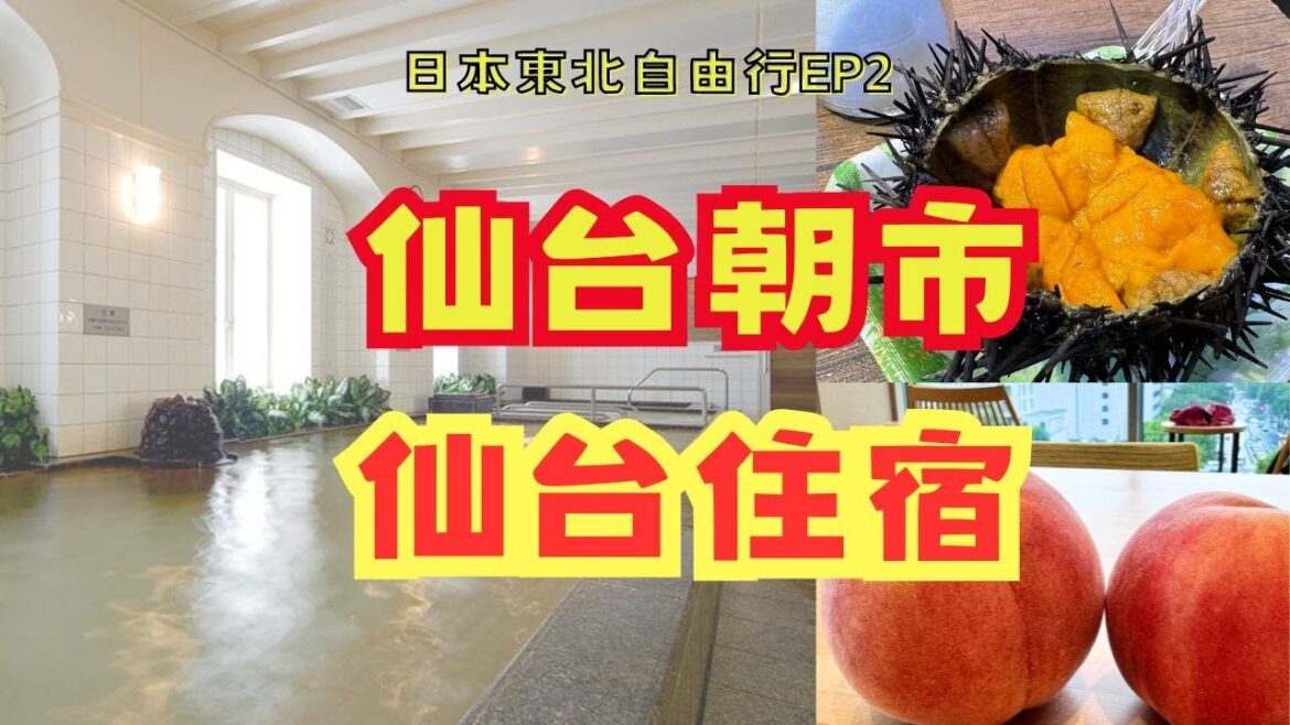 日本東北自由行EP2---開箱仙台蒙特利酒店，仙台東大都會酒店，仙台朝市必吃美食#travel #美食 #sendai #仙台