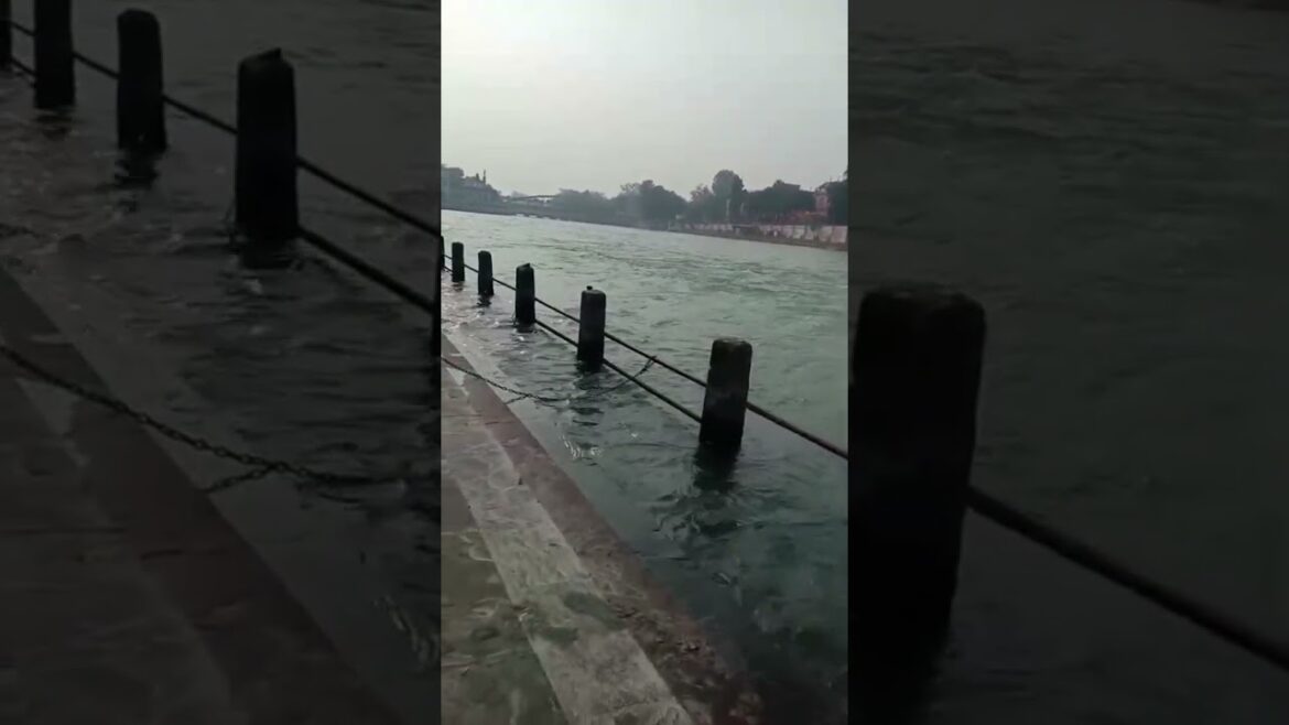 Ganga Ji Naha Lo | Haridwar-Har Ki Pauri #gangadarshan #haridwar #shortvideos #shorts #short #viral Ganga Ji Naha Lo | Haridwar-Har Ki Pauri #gangadarshan #haridwar #shortvideos #shorts #short #viral