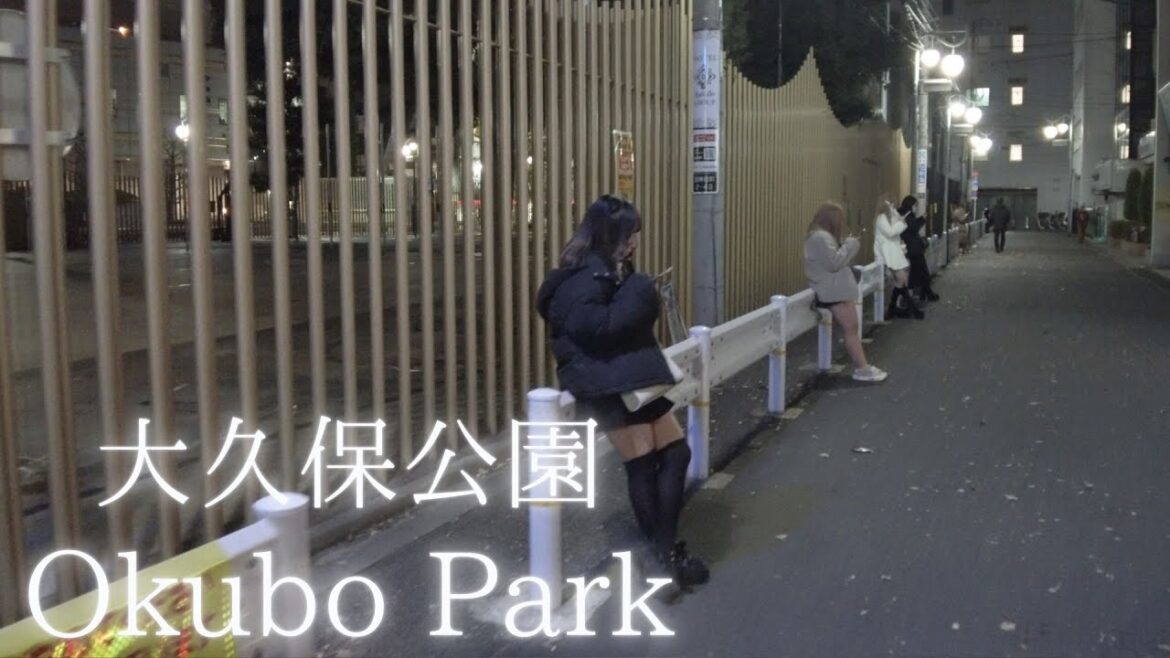 Kabukicho of Desire: The Hotel District of Okubo Park at Night Kabukicho of Desire: The Hotel District of Okubo Park at Night