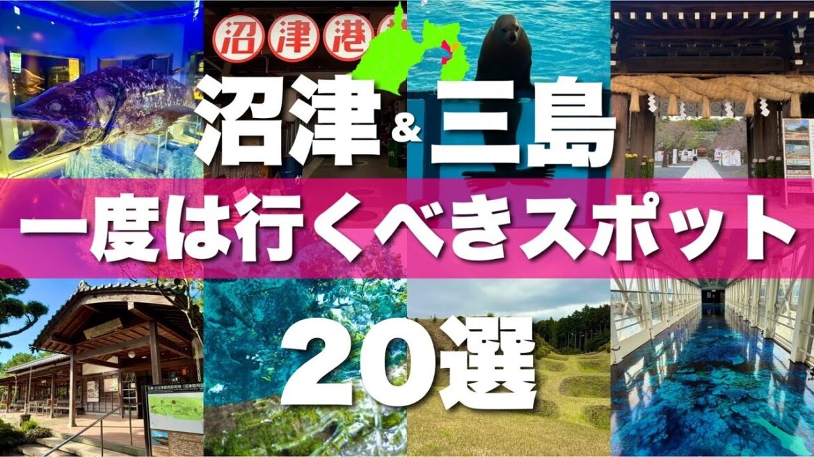 静岡県【沼津 三島】絶対に外せない観光スポットを20ヶ所一気に紹介します! 静岡県【沼津 三島】絶対に外せない観光スポットを20ヶ所一気に紹介します!