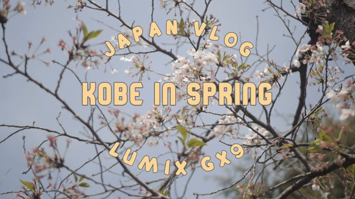 Kobe🌸- Lumix GX9 - Japan