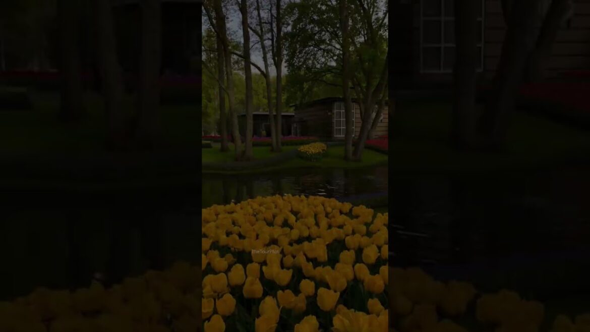 Top Tourist Places In The World #shorts #travel #explore #nature #beautiful #top10