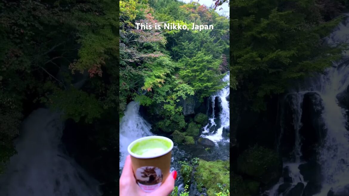 This is NIKKO, Japan π―π΅ Compared to the hustle and bustle of Tokyo, Nikko feels like another world This is NIKKO, Japan π―π΅ Compared to the hustle and bustle of Tokyo, Nikko feels like another world