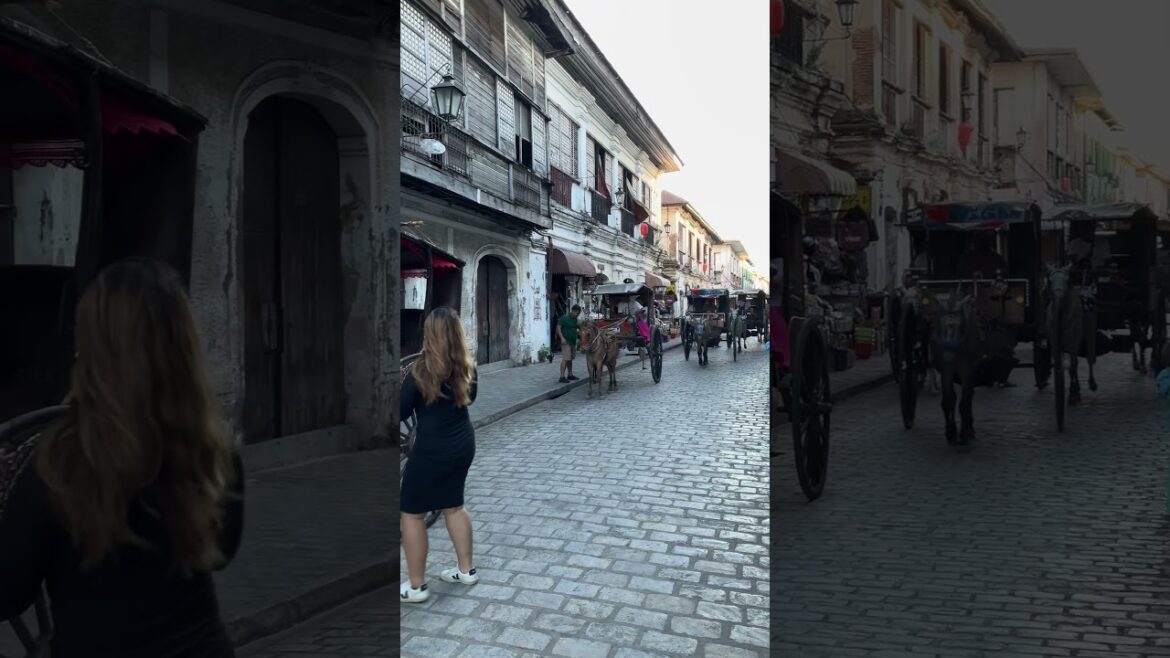 【フィリピン】これ…嘘見たいだろ?#Shorts 【フィリピン】これ…嘘見たいだろ?#Shorts