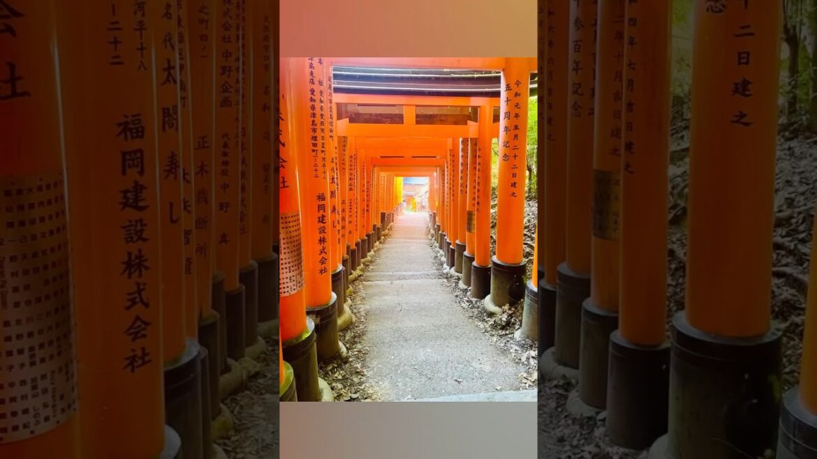 🇯🇵 Best of Kyoto, Japan. Fushimi Inari Shrine.
