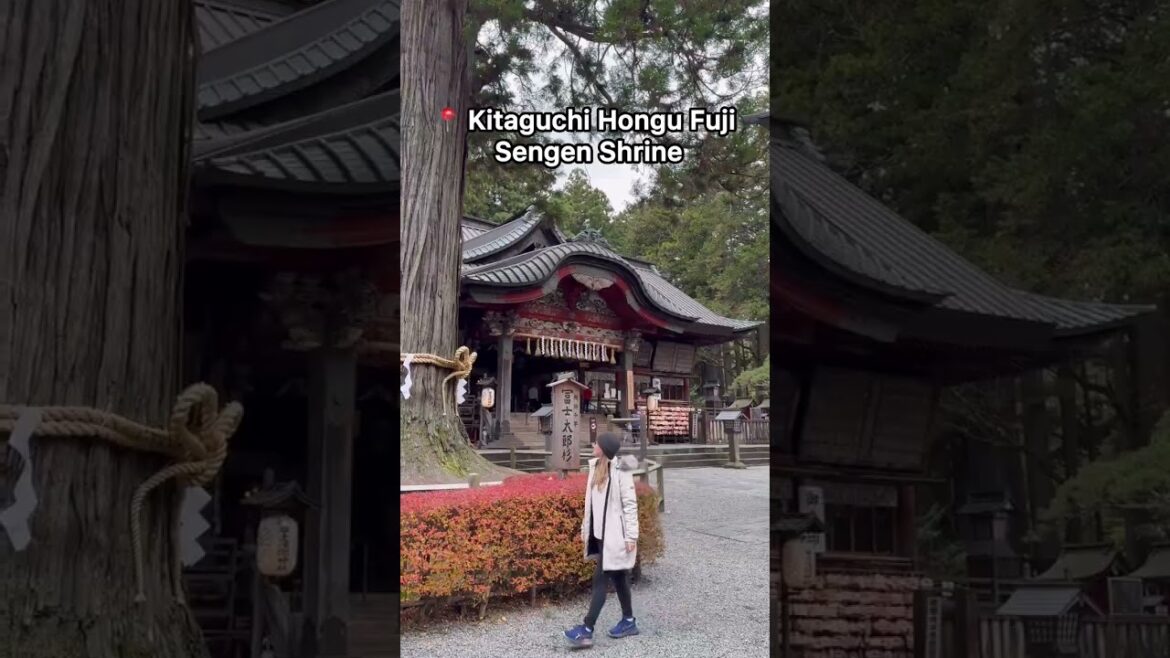 MT FUJI'S Hidden Gem EXPOSED! 🇯🇵 #mtfuji #japan