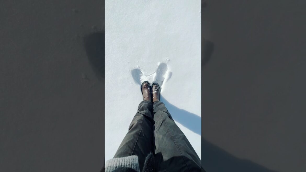 Bunny out in the snow | Date, Hokkaido | Japan Travel