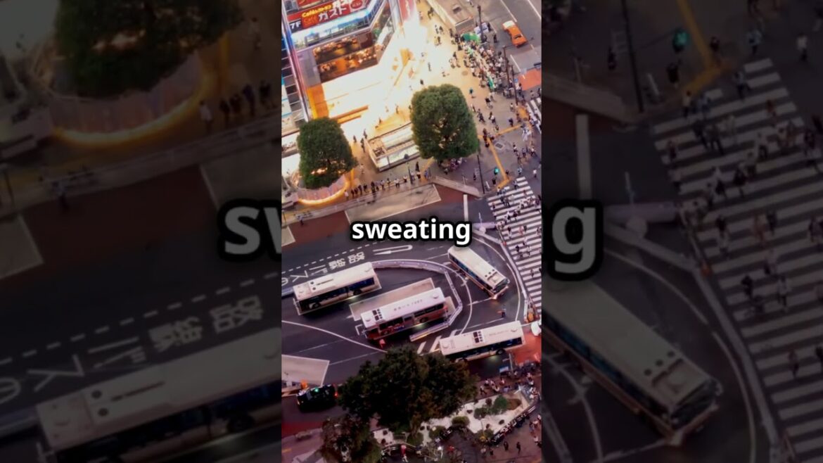 Best time to visit TOKYO & why #travel #tokyo #worldexplorers Best time to visit TOKYO & why #travel #tokyo #worldexplorers