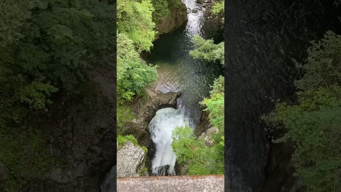 鳴沢の滝(橋の上から)、新城市、愛知 #waterfall 鳴沢の滝(橋の上から)、新城市、愛知 #waterfall
