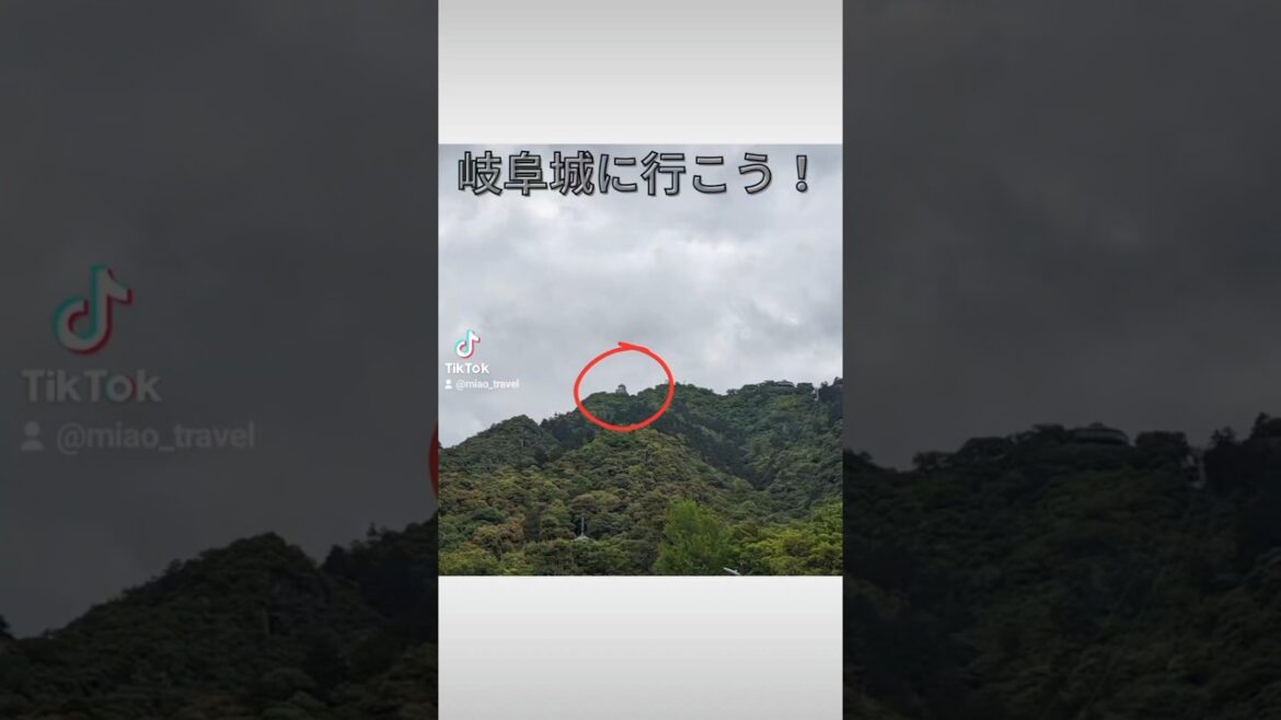 岐阜城へ登城！