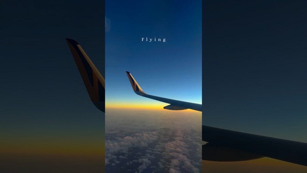 飛航模式｜台灣虎航｜岡山桃太郎空港 #travel