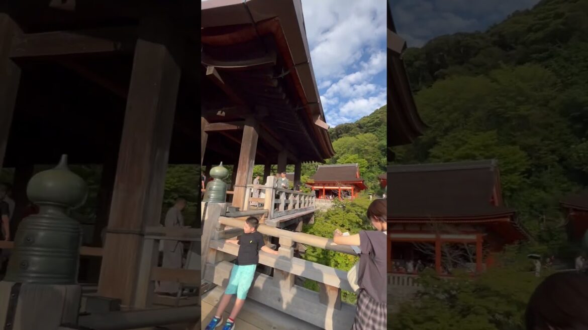 歩いて清水寺へNo.14 ￼#Kiyomizudera#kyoto