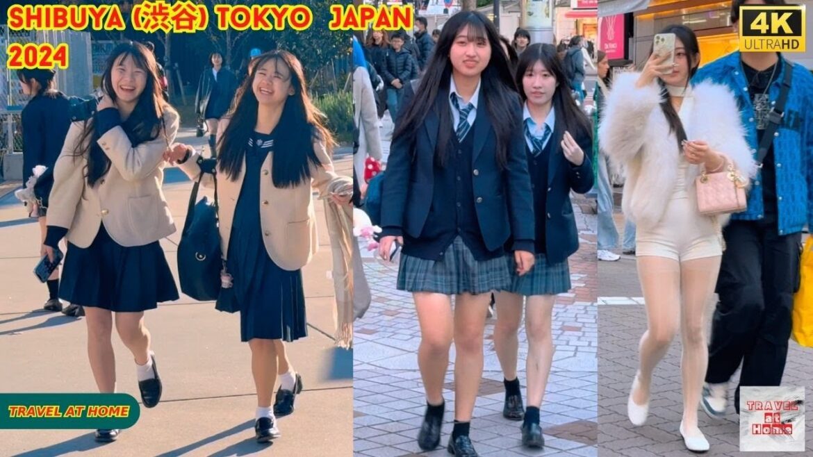 4k hdr Japan travel 2024 | Walk in Shibuya (渋谷) Tokyo Japan | Relaxing Natural City ambience 4k hdr Japan travel 2024 | Walk in Shibuya (渋谷) Tokyo Japan | Relaxing Natural City ambience