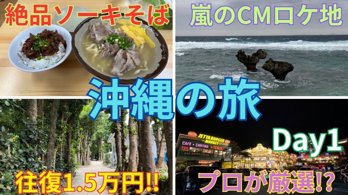 沖縄の旅　Day1      往復1.5万円      沖縄本島　浜屋　ソーキそば　古宇利島　ハートロック　嵐      備瀬のフクギ並木　アメリカンビレッジ  　vlog