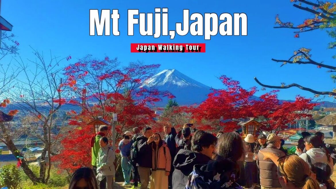 Mt Fuji Ginkgo Festival -4K JAPAN- Kawaguchi-Lake