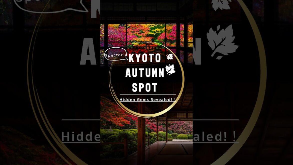 Revealing Kyoto's Hidden Autumn Foliage Spots! #travel #shorts #kyototemple