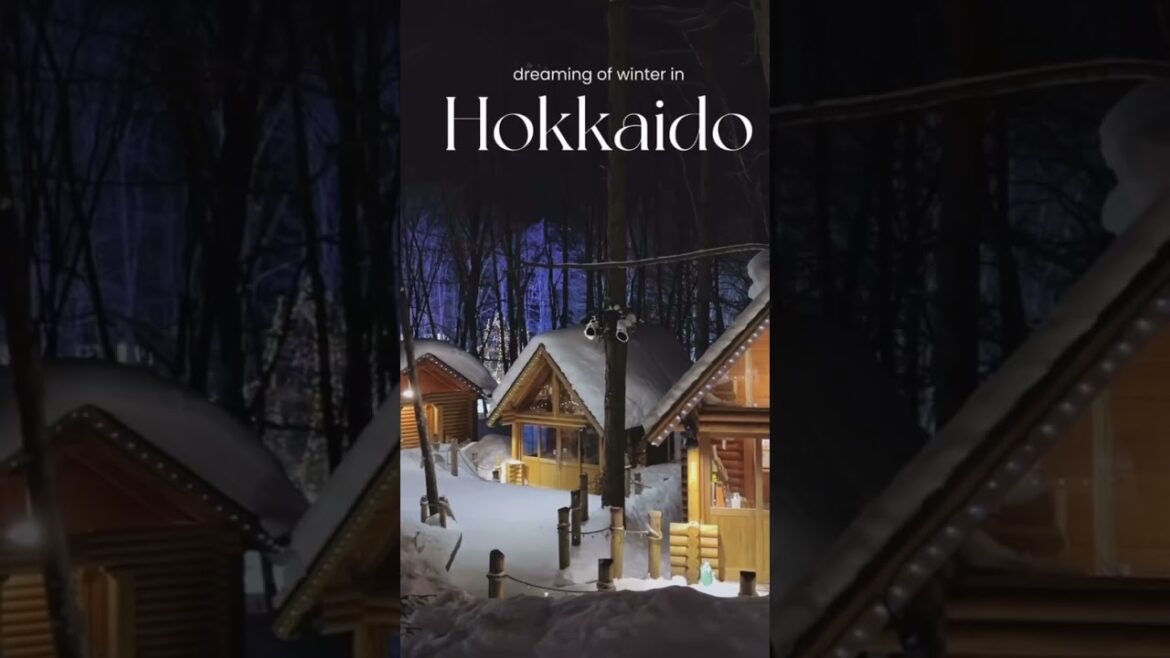 NEXT STOP IS π Most beautiful place in japan for winter βοΈ in Hokkaido #travel #japan #snow #winter NEXT STOP IS π Most beautiful place in japan for winter βοΈ in Hokkaido #travel #japan #snow #winter