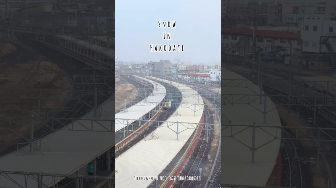 #winter #snow #japan #hakodate #hokkaido #ambient #christmas #travel