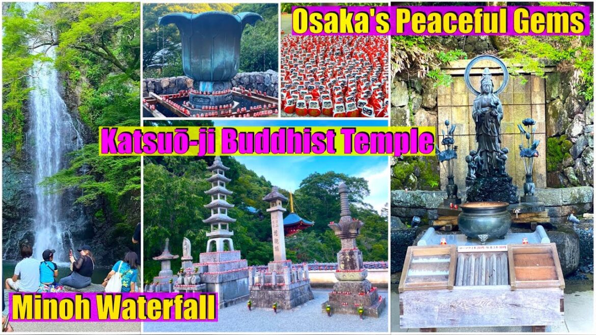 What’s the Best Kept Secret in Osaka? I Explored Minoo Waterfall and Katsuō-ji Temple to Find Out! What's the Best Kept Secret in Osaka? I Explored Minoo Waterfall and Katsuō-ji Temple to Find Out!