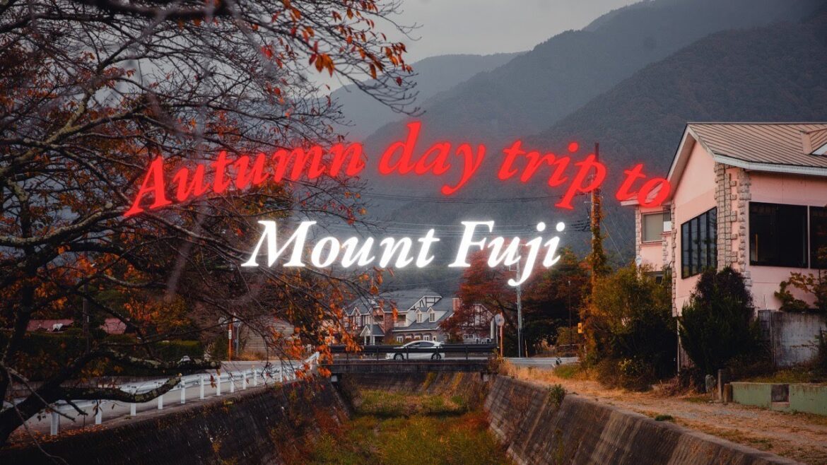 Peaceful day trip to Mount Fuji & Lake Kawaguchi in fall + last day in Tokyo | Travel vlog 05 π―π΅ Peaceful day trip to Mount Fuji & Lake Kawaguchi in fall + last day in Tokyo | Travel vlog 05 π―π΅