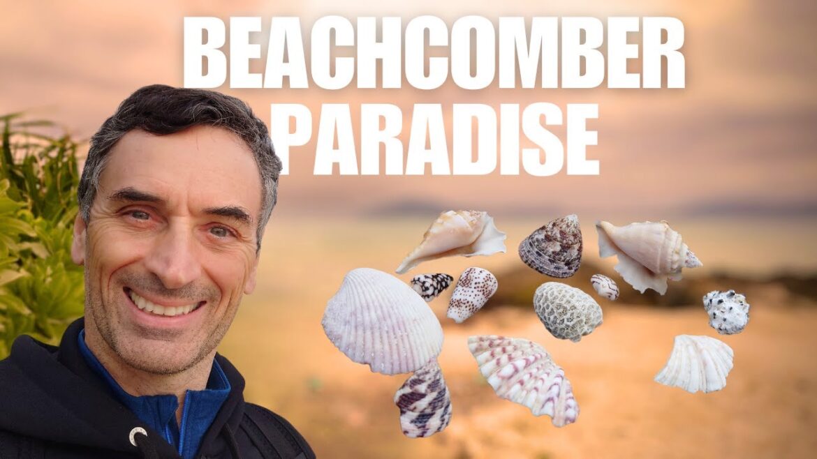 Ishigaki Island: Beachcombing Bliss at Sakieda Beach