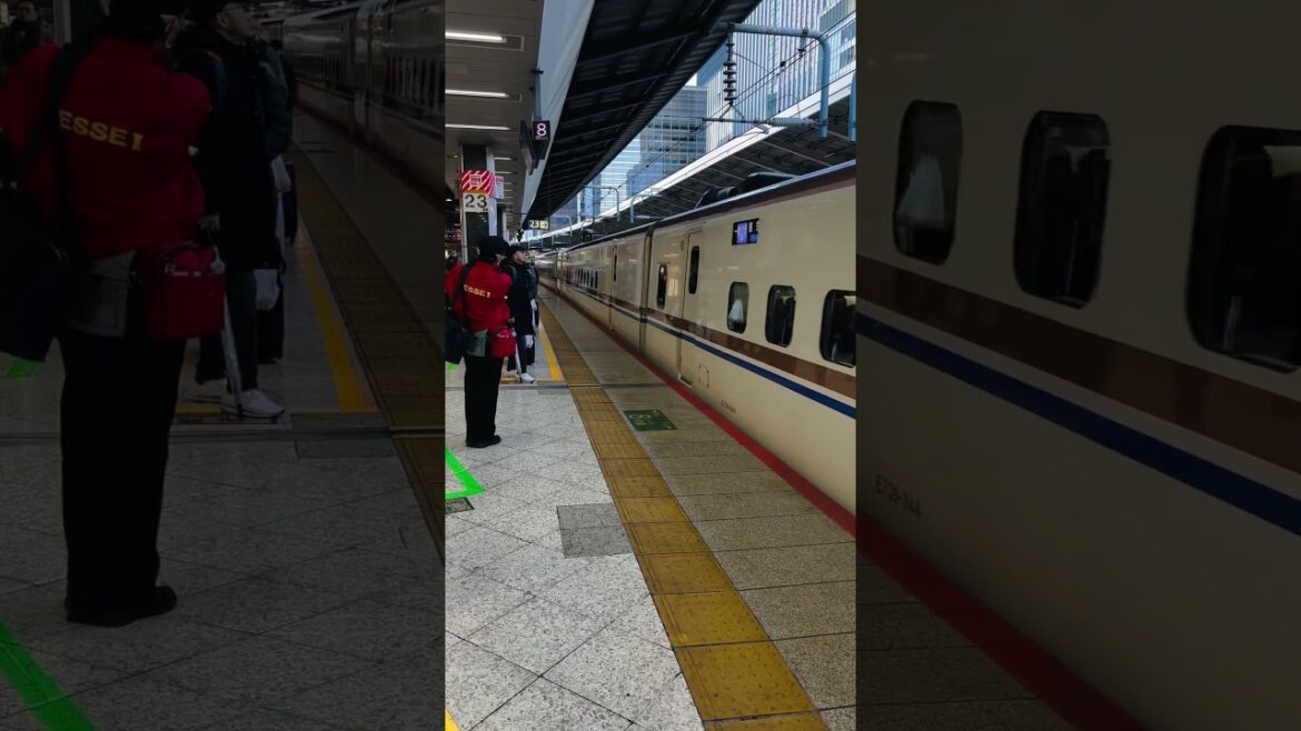 Shinkansen Bullet Train arriving at Tokyo station
