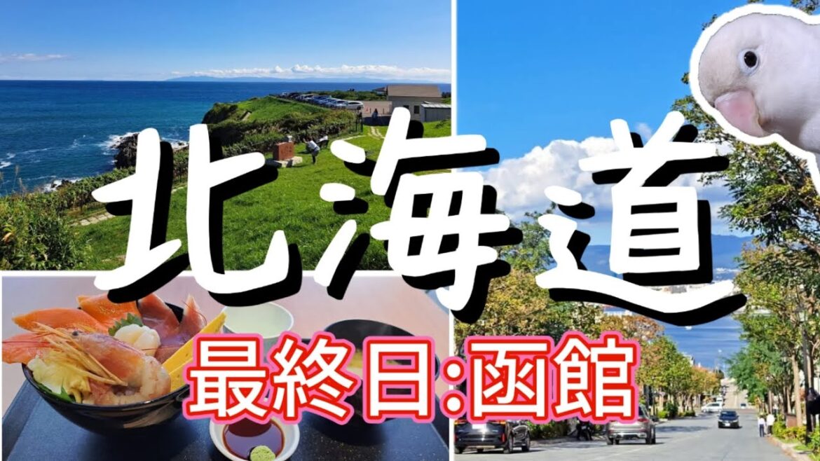 インコちゃんと北海道！最終回！さようなら北海道…【函館】～2024/09/23～