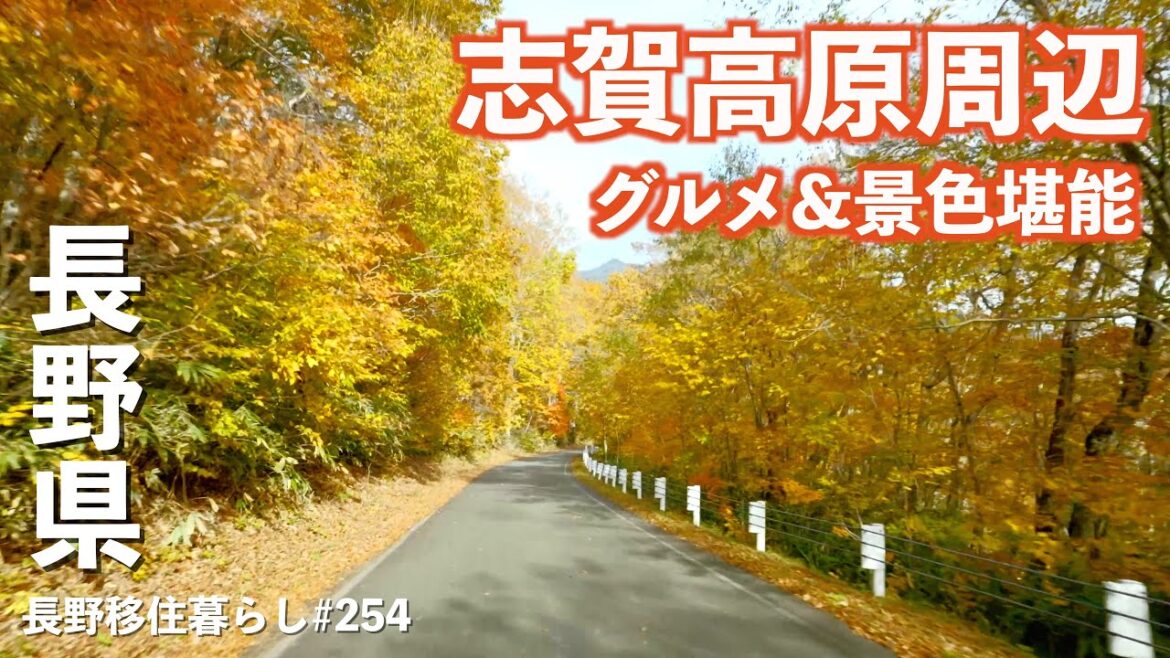 【長野移住】志賀高原周辺グルメ旅!!冬にも行けるグルメもあるよ♪|山田牧場|カヤノ平高原|志賀高原|ドライブ|田舎暮らし|長野県|4K 【長野移住】志賀高原周辺グルメ旅!!冬にも行けるグルメもあるよ♪|山田牧場|カヤノ平高原|志賀高原|ドライブ|田舎暮らし|長野県|4K