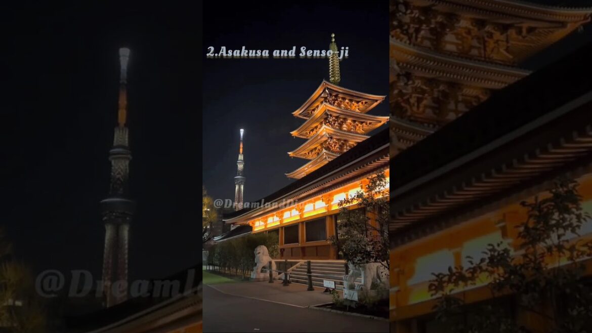 3 Must-Visit Tourist Spots in Tokyo!