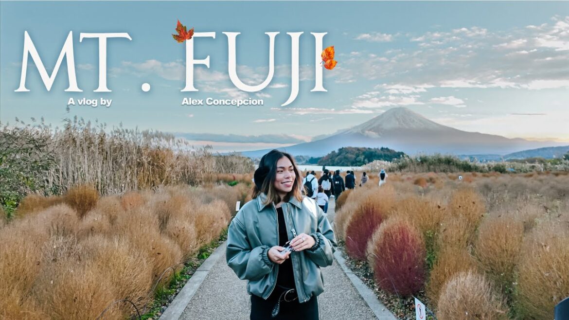 SPEND THE DAY IN FUJI 🗻🍁 Favourite spots to view Mt. Fuji & must-try food in Autumn 2024 🍂🇯🇵 SPEND THE DAY IN FUJI 🗻🍁 Favourite spots to view Mt. Fuji & must-try food in Autumn 2024 🍂🇯🇵