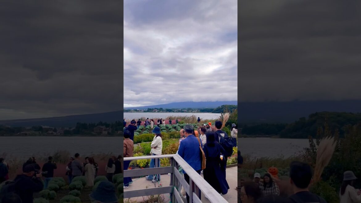 Japan Lake kawaguchi