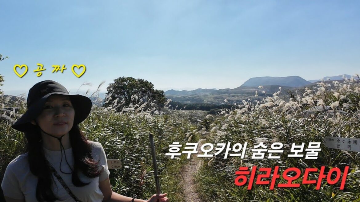 [오늘 우린] 기타규슈, 아니 후쿠오카 간다면 여기는 꼭!!(Fukuoka, Kitakyushu, Kyushu, Japan)