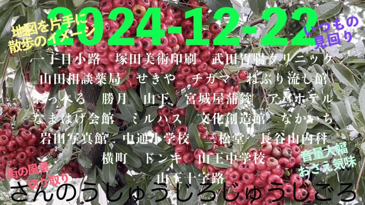 2024-12-22さんのうじゅうじろじゅうじごろ