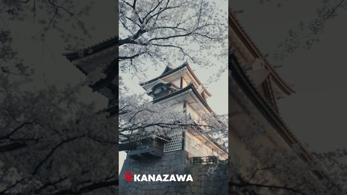 Japan's HIDDEN GEMS! #japan #streetfoodjapan