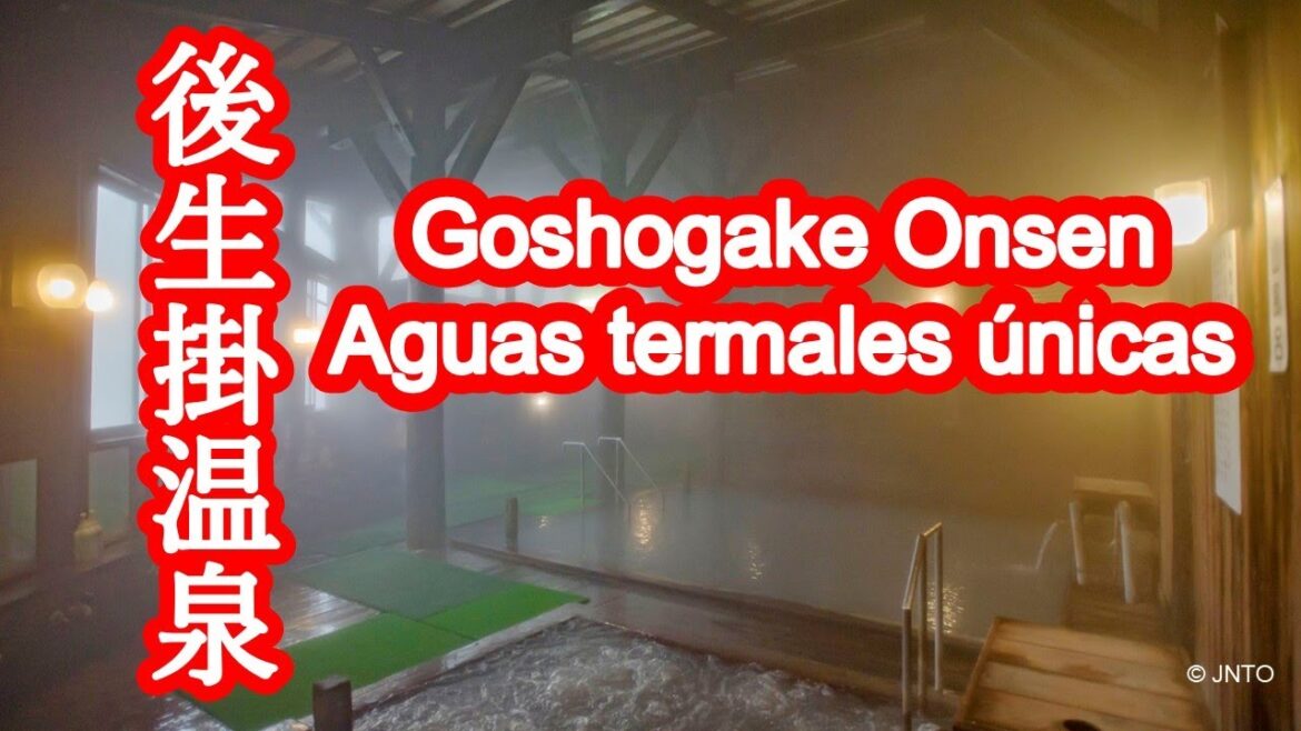 Goseikake Onsen (en Akita): baños de barro, baños de vapor y experiencias termales únicas. Goseikake Onsen (en Akita): baños de barro, baños de vapor y experiencias termales únicas.
