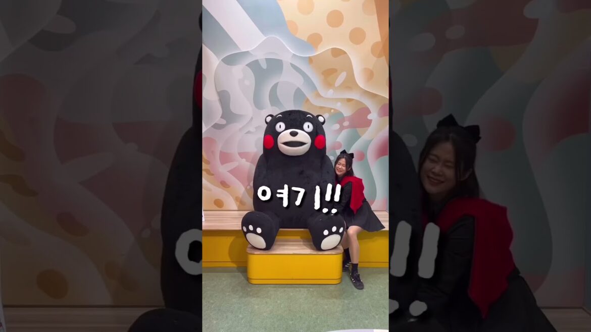 𝘿𝙒🛫쿠마몬! 너의 고향으로 데려다줄게🧸