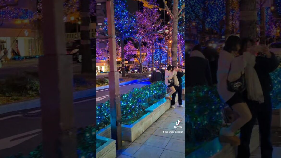 Japan 🇯🇵 Beautiful Illumination Lights in Osaka ✨ 御堂筋イルミネーション2024