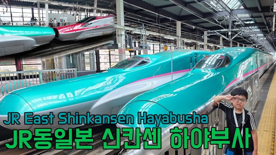 최애열차 하야부사를 타고 하코다테로!