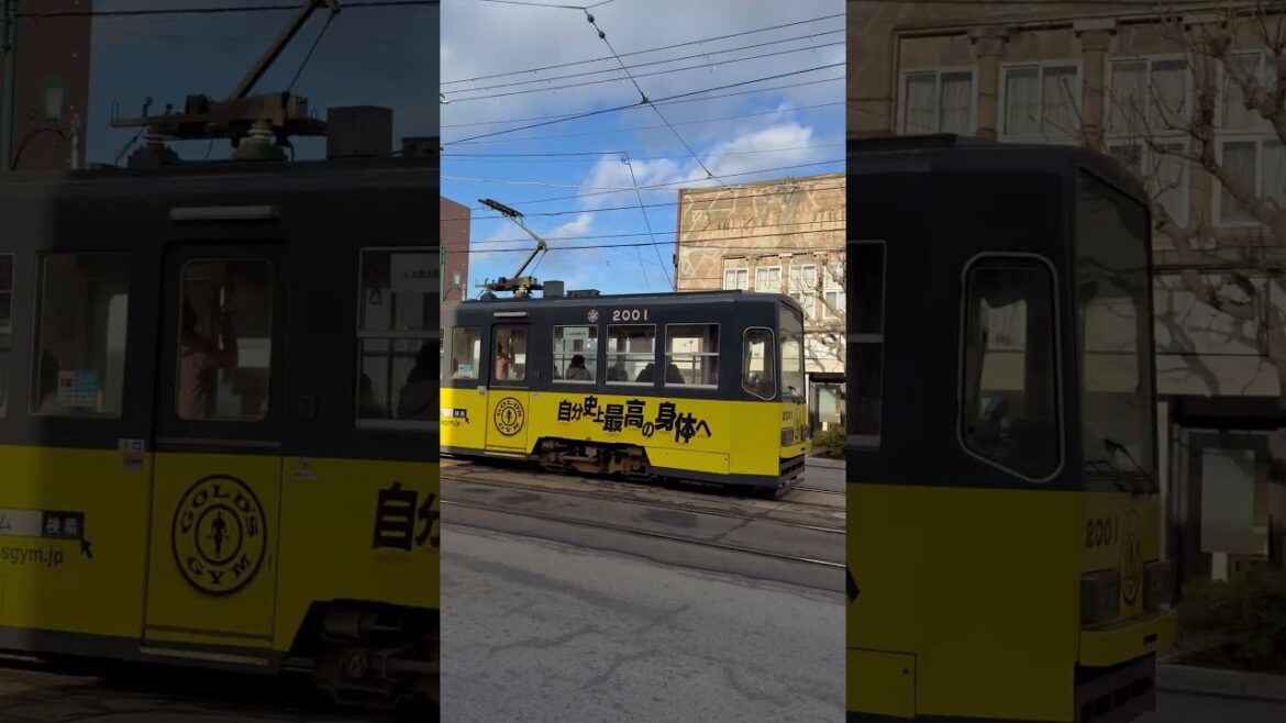 函館路面電車與汽車同行，一片和氣。