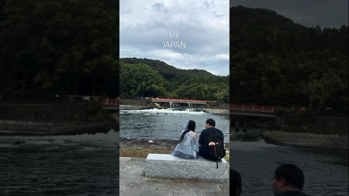 You must visit Uji! #kyoto