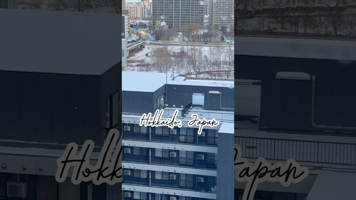 Winter in Sapporo ❄️ 🥶 new vlog tomorrow! 😍 #sapporo #travel #shorts